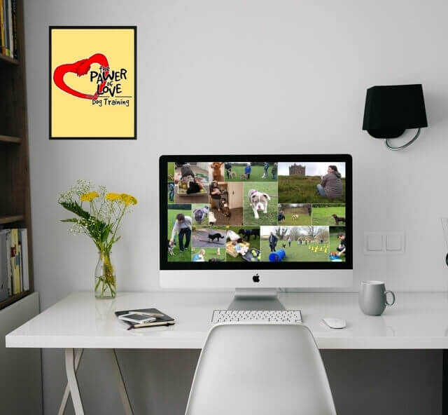 A desk with a chair in front of it, with a monitor on the desk that
shows a montage of the services the Pawer of Love dog training offers.